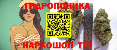 не бодяженный Будённовск