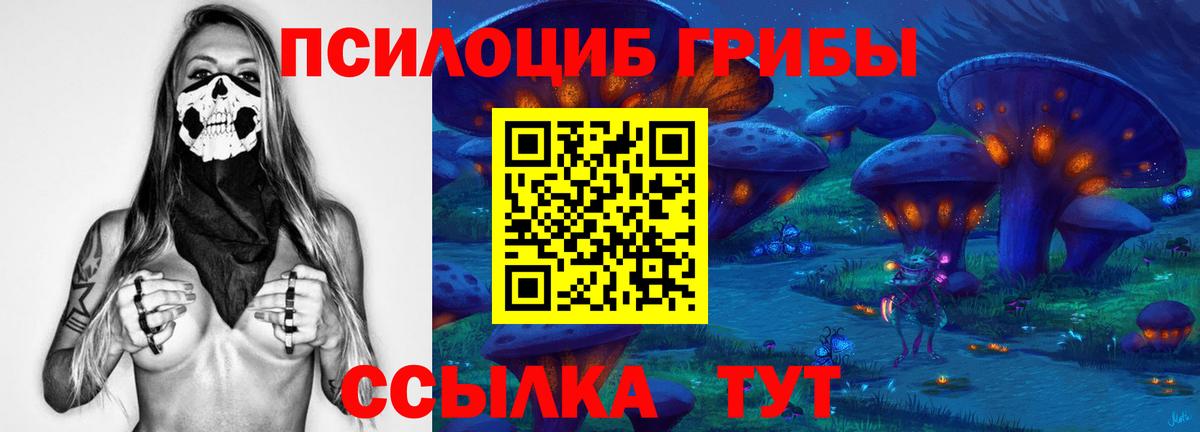 Псилоцибиновые грибы Magic Shrooms  Вход с VPN  Галлюциногенные грибы Psilocybe  Рубцовск 